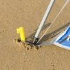 ⁦אוהל חוף בן רגע Instant Sundome Coleman⁩ – תמונה ⁦5⁩