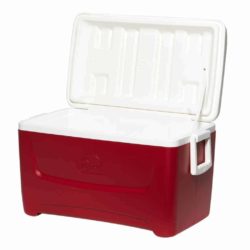 צידנית קומבו 45 ליטר Igloo Island Breeze