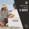 ⁦צידנית 66 ליטר מארין קולמן Quart Marine Hard Cooler COLEMAN⁩ – תמונה ⁦3⁩