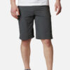 מכנס קצר גברים Columbia Silver Ridge Cargo Short